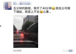 今日攀枝花网友爆料,惊现神秘事件，真相令人震惊！